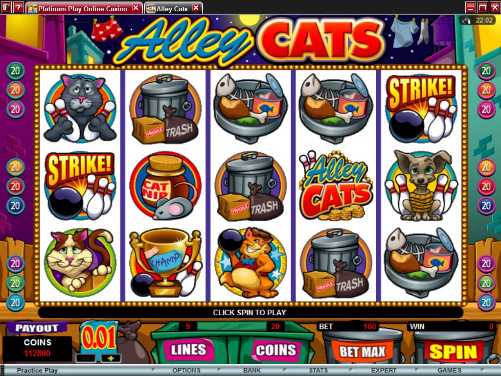 Cat casino cat real money net ru. Cat Casino игровые автоматы. Кошка в игровом автомате. Cat Casino играть. Cat Play казино.